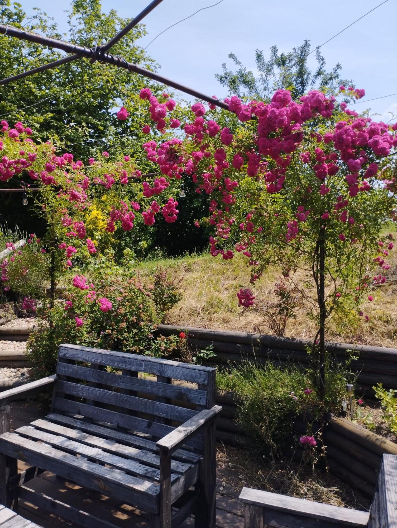 Bed and Breakfast Fenetre Sur Loire Iguerande Exterior foto
