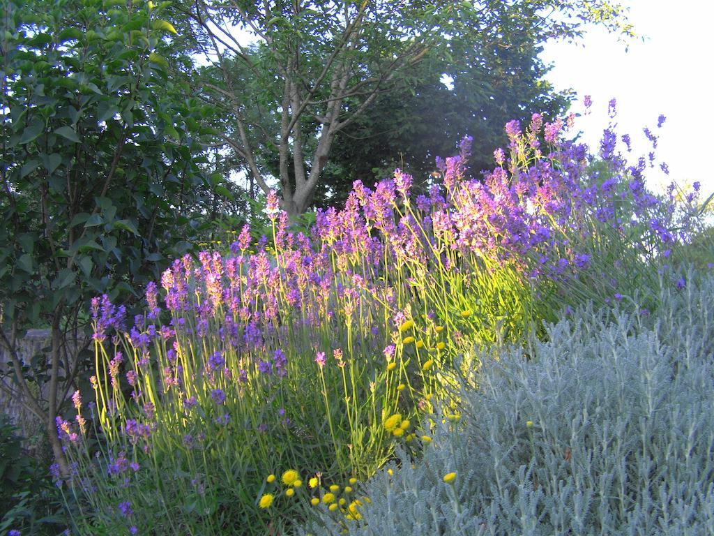 Bed and Breakfast Fenetre Sur Loire Iguerande Exterior foto