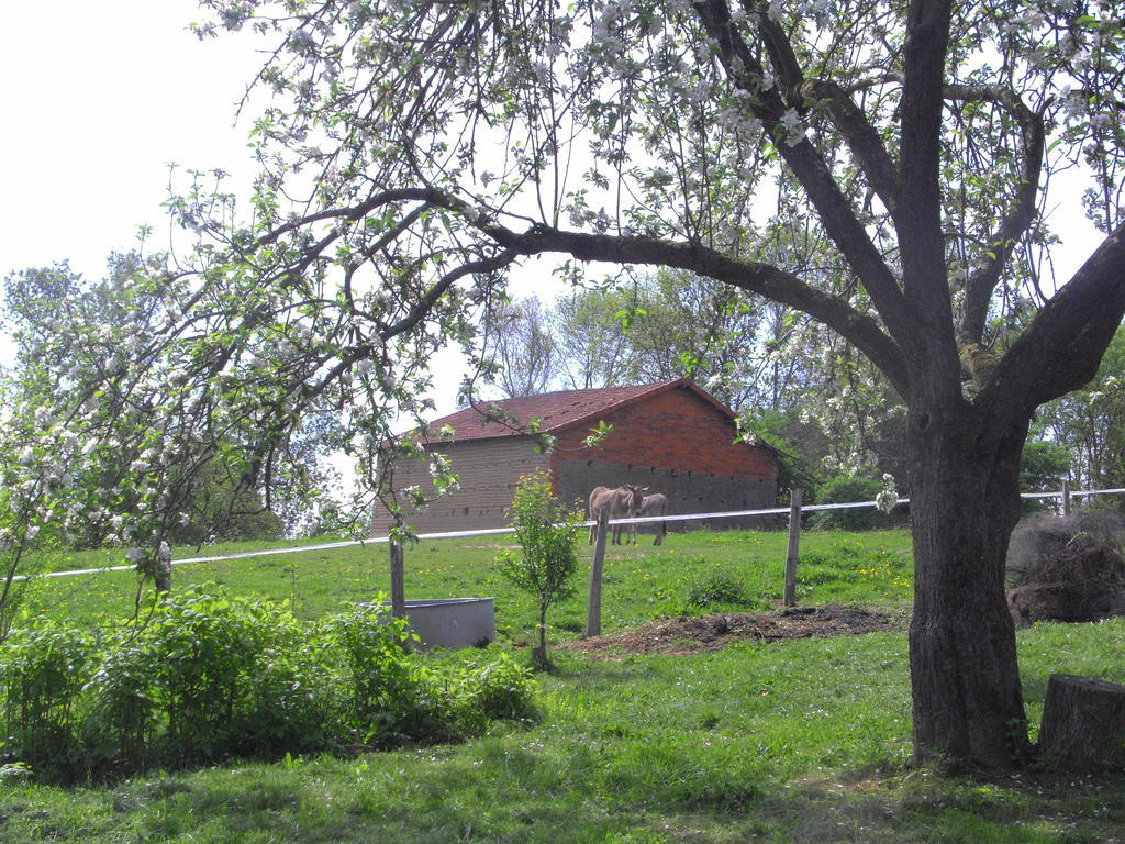 Bed and Breakfast Fenetre Sur Loire Iguerande Exterior foto